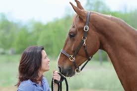 But, there is usually a phone number on the back of your insurance. Equine Therapy Counseling Brighton Plymouth Mi
