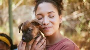 FreeWill case study: Greenhill Humane Society