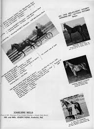 trail CRide 9'-''-'Ue