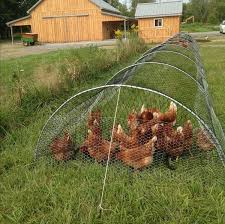 Water hyacinth nesting basket set | vivaterra. Cresterea Pasarilor In Curte Sau Gradina Idei De Cotete Practice Si Frumoase