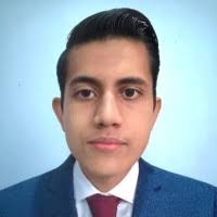 30+ "Armando Lagunes Lagunes" profiles