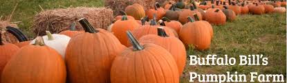 Buffalo Bill's Pumpkin Farm