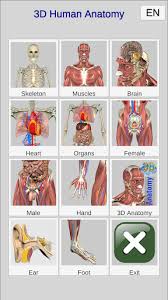 Like a human body, the human hand also consists of certain types of bones that provide strength and flexibility to it. 3d Bones And Organs Anatomy Apps On Google Play