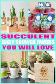 Succulents Baby Shower Favors