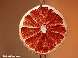 Wings have conspicuous white patches. 3 Ways To Dry Fruit For The Birds Nikki Lynn Design