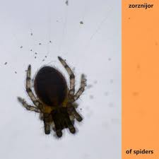 Is it large and spacious with boxes, toys, tools, and that treadmill you promised just as there are many types of basements, there are many types of spider infestations. Spider In The Basement Song Download From Of Spiders Jiosaavn