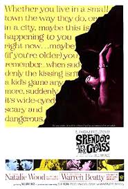 Splendor In The Grass 1961