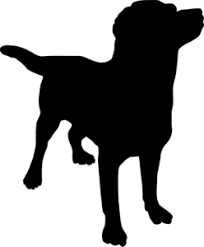 1675 north winding brook loop, palmer. Community Resources Smiling Dog Alaska