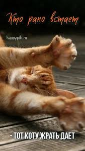 pin na doske dobroe utro