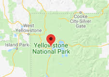 A) 1870 b) 1872 c) 1874 d) 1876. Yellowstone Reading Quiz Quizizz