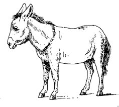 Der reisekostenrechner dient als vorlage für eine übersicht über die fahrten eines mitarbeiters innerhalb eines bestimmten zeitraumes. Esel 3 Ausmalbild Malvorlage Tiere Ausmalen Skizzen Von Tieren Ausmalbilder