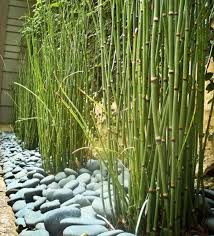 You can also create an indoor or desk zen garden on a tiny budget, using a tray, sand, a rake, some pebbles and tiny pot plants from your local garden centre. 31 Authentic Zen Garden Ideas To Bring Calm To Your Life
