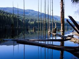 As well as the island itself, it is also a region which includes the gulf islands in the strait of georgia. 11 Of The Best Things To Do On Your Vancouver Island Holiday