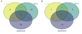 Maybe you would like to learn more about one of these? Global Diversity And Biogeography Of The Zostera Marina Mycobiome Applied And Environmental Microbiology