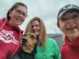 Rescue of Stray Dog Sonic in Langley