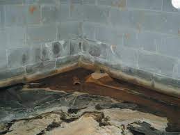Home basement waterproofing basement moisture causes and solutions. Basic Tips For Damp Basement Solutions Everyone Should Know About Budget Dry Waterproofing