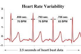 Whats Your Heart Rate Variability It May Be Time To Find