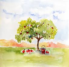 Painting fruit tree trunks with white latex paint can prevent the bark from splitting and cracking off. Meet Me Under The Apple Tree Print Tree Illustration Tree Watercolor Watercolor Apple