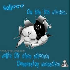 Https Encrypted Tbn0 Gstatic Com Images Q Tbn 3aand9gcqtaghuoc9lwa R3dsc7nxy Xoldwffor8qeg Usqp Cau