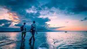 This hd wallpaper is about fishing, roulette, fisherman, equipments, reel, line, sport, original wallpaper dimensions is 4000x6000px, file size is 834.67kb. Fishing Wallpaper Free Desktop Backgrounds Page 3 Of 4 Wallpaperpass