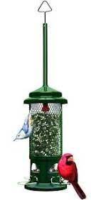 Chuy Com Cardinal Bird Feeders Chewy Chewy Cardinal Bird Feeders Google Search Homemade Bird Feeders Squirrel Proof Bird Feeders Best Bird Feeders