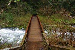 Valley of the giants oregon. Valley Of The Giants Loop Hike Hiking In Portland Oregon And Washington