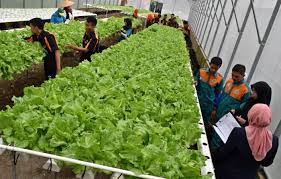 Memainkan peranan penting dalam memacu perubahan dalam masyarakatnya. Solusi Regenerasi Petani Memaksimalkan Peran Pendidikan Dan Teknologi Halaman 1 Kompasiana Com