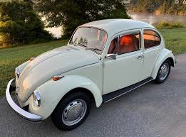 Image result for Delta Green 1968 Beetle