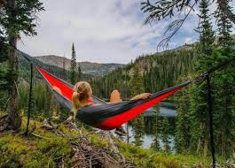 Image result for Brazzeia longipedicellata