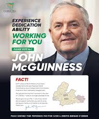 Kilkenny Observer 22 November 2024 by Kilkenny Observer