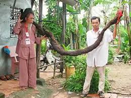 Tantalizing to some, terrifying to others, a long bridge over water is undoubtedly an engineering marvel. Tran Van Hay Man With The Longest Hair Infy World