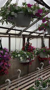 Sam's club flowers in jackson mi. Skinkles Flowers 6429 Lansing Ave Jackson Mi 2021