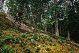 All reviews are from people who have redeemed deals with this merchant. Welcome To The 2020 Pinkbike Field Test Cross Country Bike Edition Pinkbike