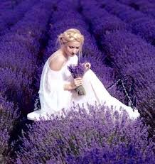 صالحه بارفيوم التواصل معنا عبر الوتس أب 99157080 تابعونا عبر الانستجرام Salhaperfume S تويتر Salhaperfume يوجد لدي Wedding Dresses Dresses Fashion