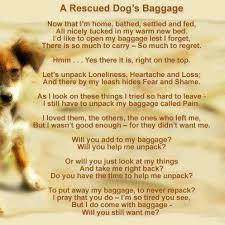 Nice Poem Rescue Dogs Dog Quotes Dogs