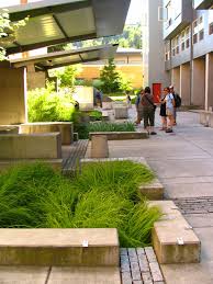 Stormwater Rain Garden Design Rain Garden Garden Design