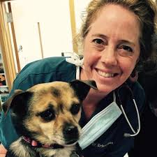 Veterinarian in Madison, WI 53719