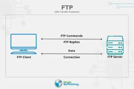 Image result for Computers Internet Protocols FTP Search Engines