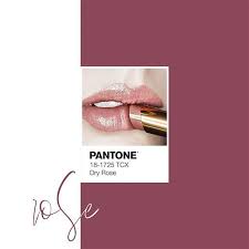 pin by ari hira on pantone 3 in 2020 wedding colors red decor color schemes pantone