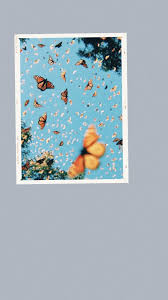 Butterfly iphone wallpaper butterfly wallpaper iphone. Iphone Aesthetic Tumblr Iphone Blue Butterfly Wallpaper