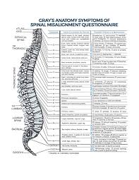 Find Reputable Good Chiropractors In Singapore