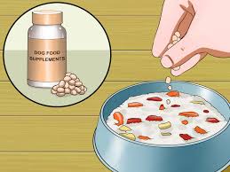 how to make allergy food for dogs 9