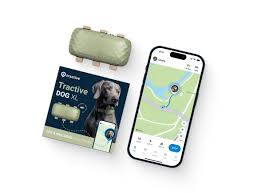 The Ultimate Buying Guide for Digital Pet Activity Monitors