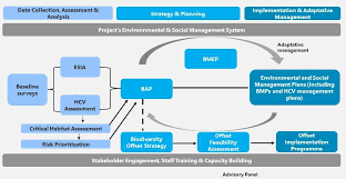 Image result for Crateranthus congolensis