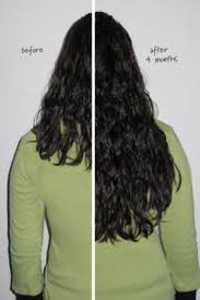 Grow Fast Shampoo Long Hair Shampoo Longer Hair Shampoo Fast Grow Shampoo Soft Surroundings Long Hair Styles Growing Out Hair Longer Hair Faster