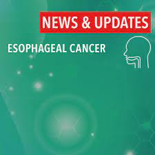 Alcohol is also a risk factor for squamous cell carcinoma, but not people who are overweight or obese are at a greater risk of developing adenocarcinoma of the esophagus. Esophagitis Increases Risk Of Esophageal Cancer Cancerconnect