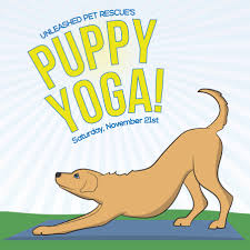 Map of halfway home pet adoptions in kansas, missouri. Beer Yoga Unleashed Pet Rescue And Adoption Facebook