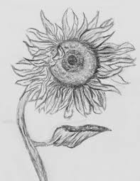 Food is a great thing for beginners to draw because you can make it as simple or complicated as you like. Drawings Aesthetic 90s Simple Drawings Aesthetic 90s Aesthetic Drawing Simple Drawings In 2021 Cool Drawings Drawing For Beginners Easy Drawings For Beginners