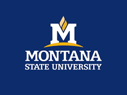 Montana State University spring graduates listed by hometown