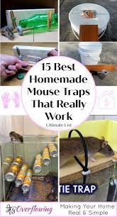15 Best Homemade Mouse Trap Ideas That Really Work Homemade Mouse Traps Mouse Traps Mouse Trap Diy